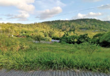 Jardin Mamzelle, Hauteur Accacia et Camp du Roi, des lieux emblématiques à Rodrigues