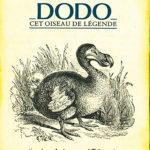 141016_dodo