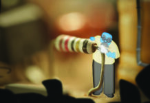 The Cradle of Mauritian Animation