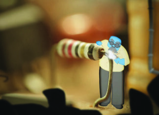 La pépinière de l’animation mauricienne