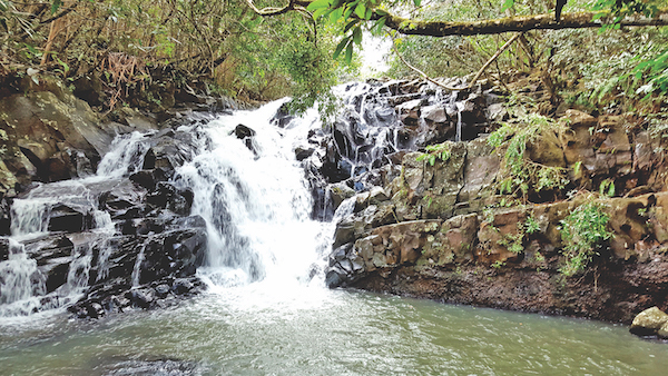 Réserve Naturelle Frédérica: Immersion en terre sauvage