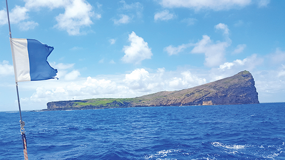 Catamaran : Escapade vers les îles du Nord