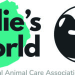 20200626_IndiesWorld_LOGO_EN