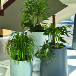 534782672_1069416245346062_1839976018798340715_n