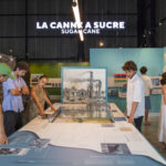 7_Photo L_Aventure du Sucre_Une histoire faconnée par le sucre_4