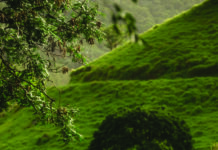 FERNEY, paving the way for sustainable development in Mauritius