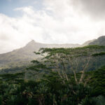 _ALX0037_La_Vieille_Cheminee