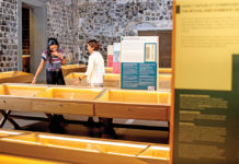 World of Seashells pour tout savoir sur les coquillages