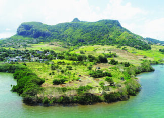La Montagne du Lion à l’étude