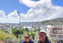 Prémices d’une forêt à la Citadelle