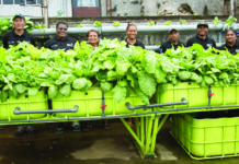 Caritas, île Maurice 60 ans au service d’autrui