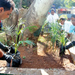 green attitude foundation 4