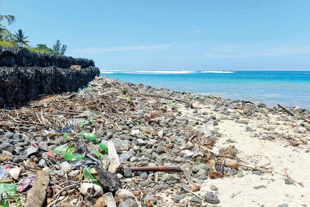 Belle Verte : Pour une île Maurice propre et verte