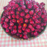 Calices de roselles