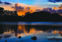 8 ans de lutte récompensés