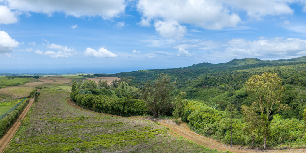 Investissez avec La Compagnie de Beau Vallon Ltée