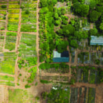 DJI_0674
