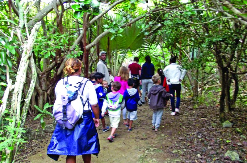 Zouzou Loisirs: Un centre de loisirs unique à Maurice