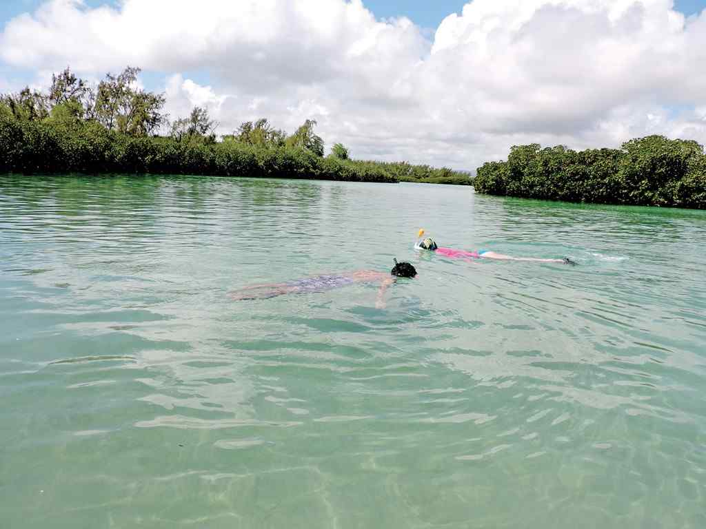 A la découverte de l'île d'Ambre en kayak