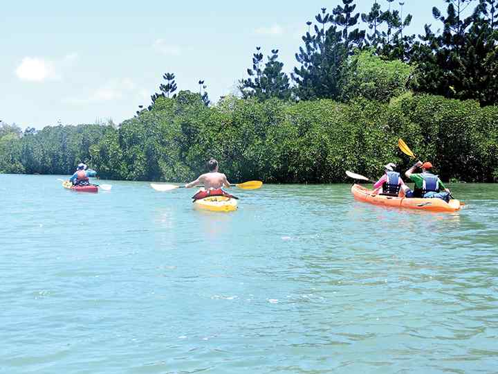 A la découverte de l'île d'Ambre en kayak