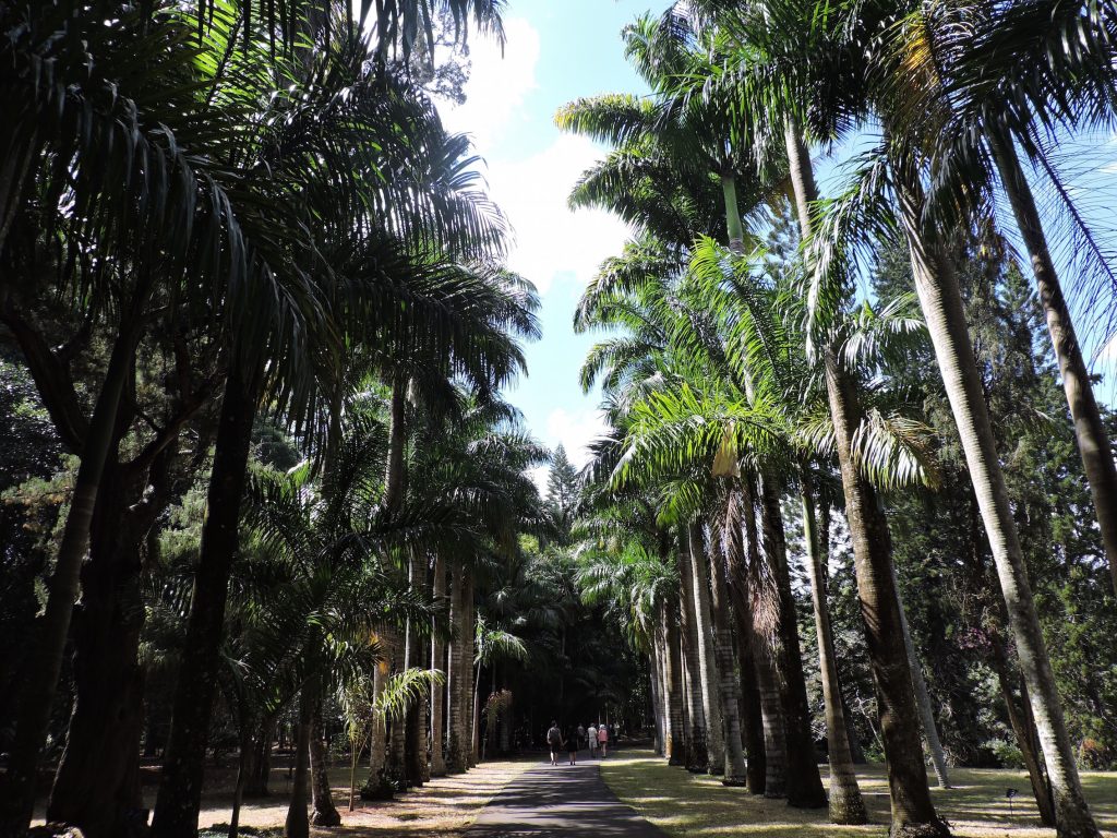 Jardin de Pamplemousses : Voyage dans le royaume végétal