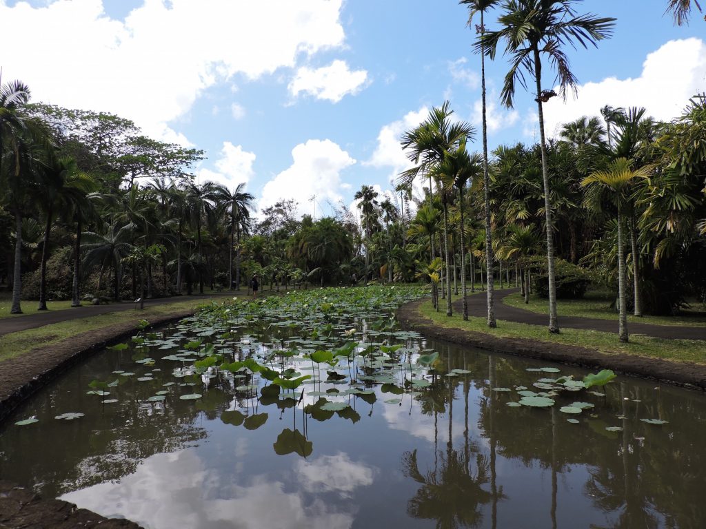 Jardin de Pamplemousses : Voyage dans le royaume végétal