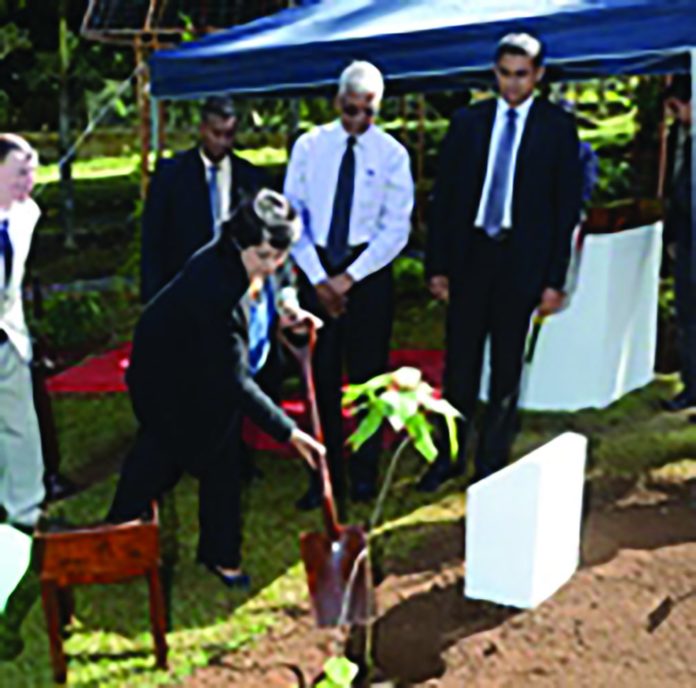 State House – MWF Un jardin endémique en hommage à Gabriel D’Argent