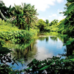 Berges, Beau Vallon