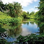 Berges, Beau Vallon