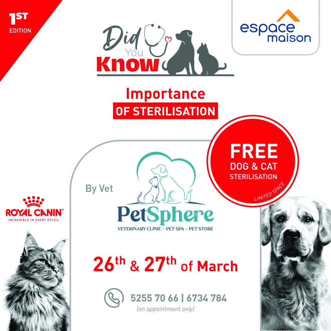 Did-you-know-visuals