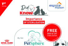 “Did You Know”, the campaign to better understand your pets’ needs