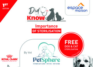 « Did You Know », la campagne pour mieux comprendre les besoins de vos animaux