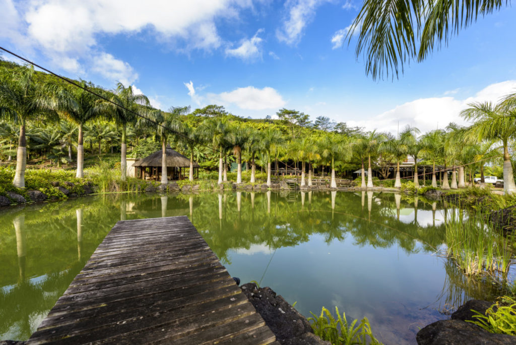 Halte apaisante au Domaine de Chazal Ecotourism