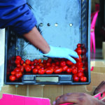 Dossier de presse – FoodWise 02.04.26 (3)