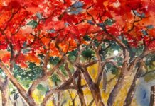 Veranda Grand Baie célèbre l’art mauricien avec Yeshen Gunnoo