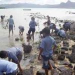 ESmangrove-planting