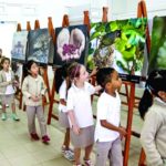 EcoleduCentreExhibit-8134