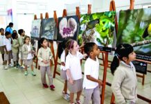 MAURITIUS BEYOND THE DODO MAURITIUS BEYOND THE DODO