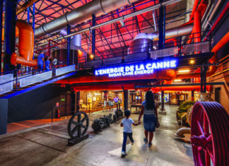 La canne, son sucre et bien au-delà…