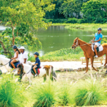 Family Horse Ride 2