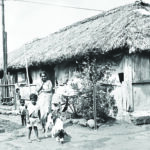 Habitat – ouverture – 1