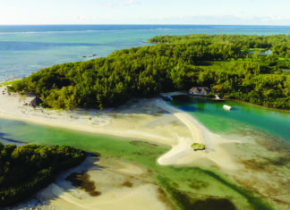 Île aux Cerfs, an island with ecological potential