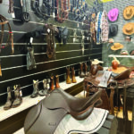IMG-20251114-WA0008
