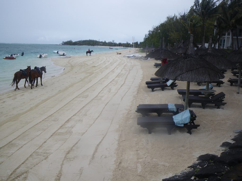 Beach Cleaner Initiative: Une plage propre et saine