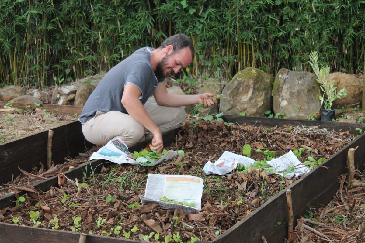 Les agriculteurs bio demandent une certification reconnue