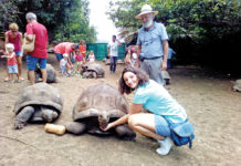 Le dernier paradis des tortues