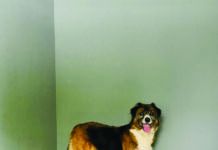 Séjourner dans le luxe