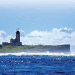 Ile au Phare 1