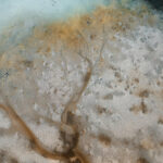 Javed Jeetoo- What remains