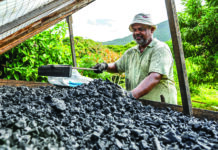 Île faut agir… pour l’avenir !